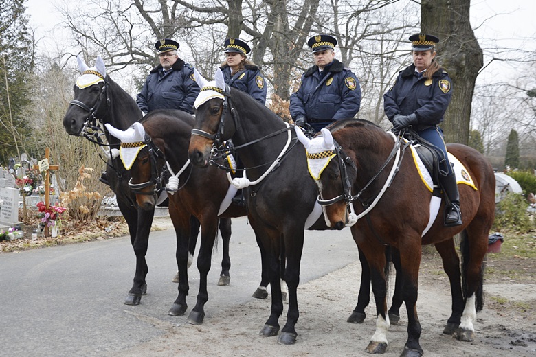 Obchody we Wrocławiu