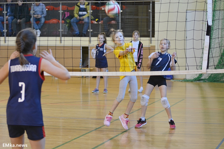 Mistrzostwa siatkówki w Miękini