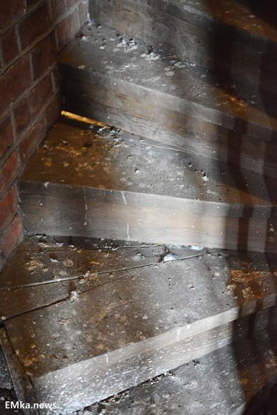 Harcerze wysprzątali wieżę widokową w Środzie Śląskiej