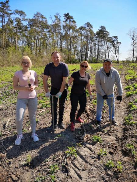 Sadzenie lasu we Wróblowicach