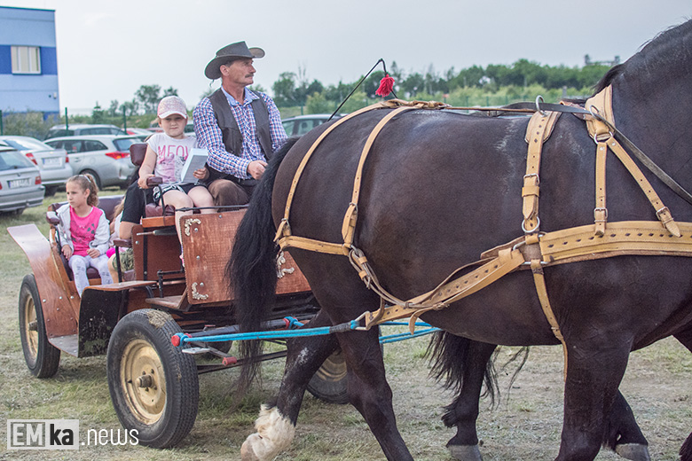 Powiatowy piknik strażacki