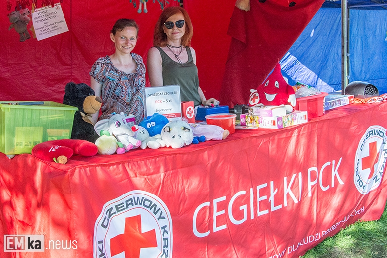 Dzień Dziecka w Środzie Śląskiej