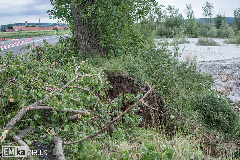 Wojewoda w gminie Udanin