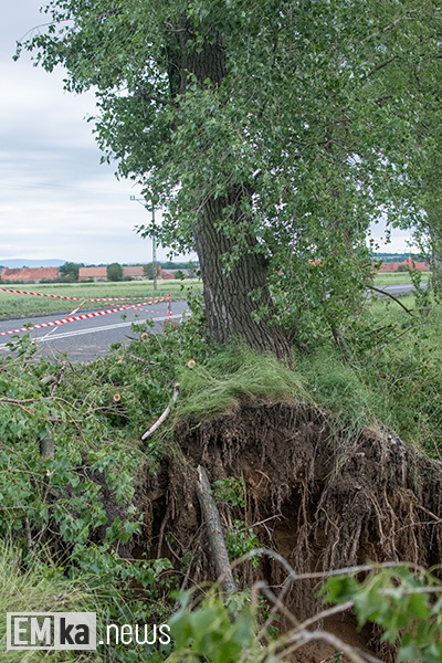 Wojewoda w gminie Udanin