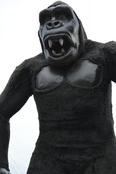 Festiwal Kół Gospodyń Wiejskich w Mazurowicach