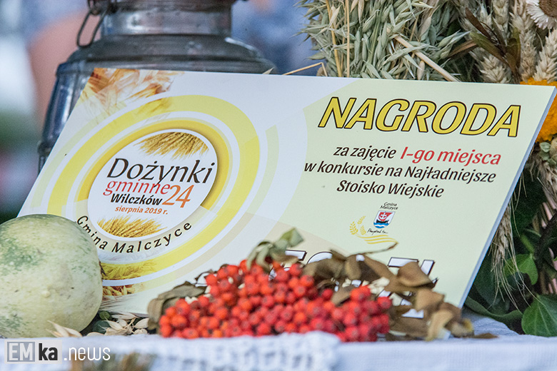 Dożynki w Wilczkowie