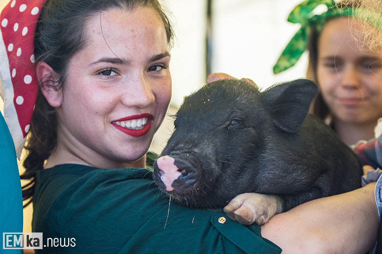 Dożynki gminne w Zakrzowie