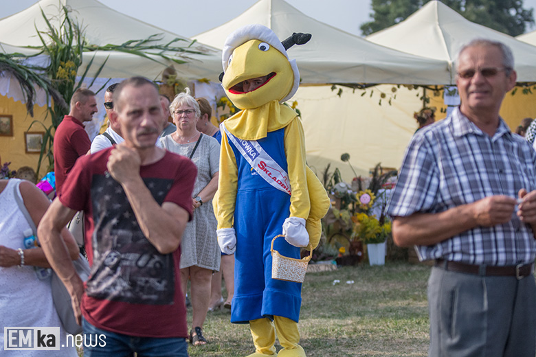Dożynki gminne w Zakrzowie
