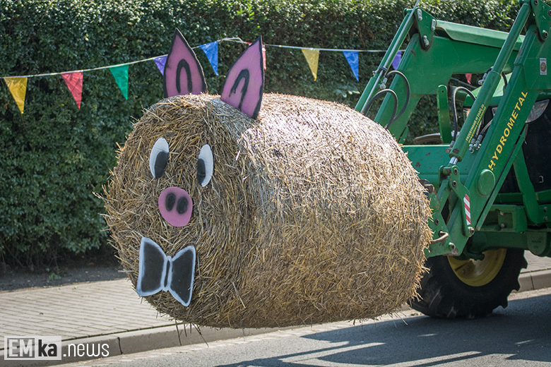Dożynki w gminie Udanin 2019