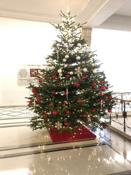 Uczniowie z Gminy Udanin w Sejmie RP