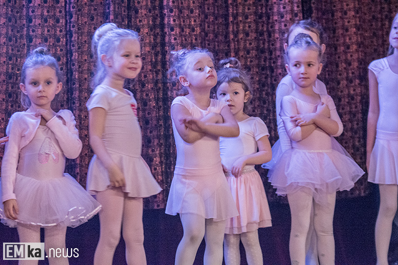 WOŚP w Kostomłotach