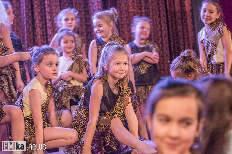 WOŚP w Kostomłotach