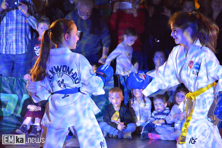 WOŚP w Pisarzowicach