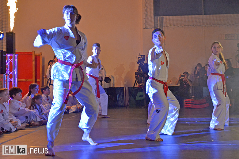 WOŚP w Pisarzowicach