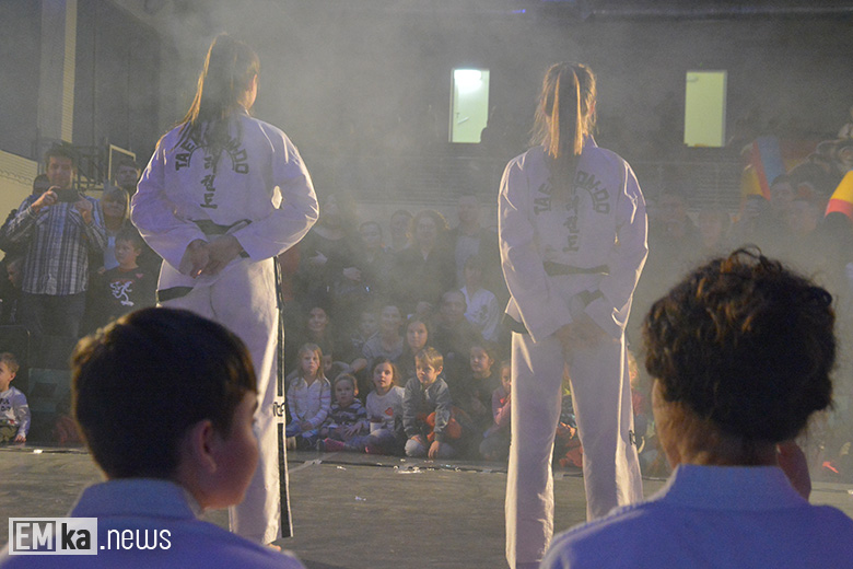 WOŚP w Pisarzowicach