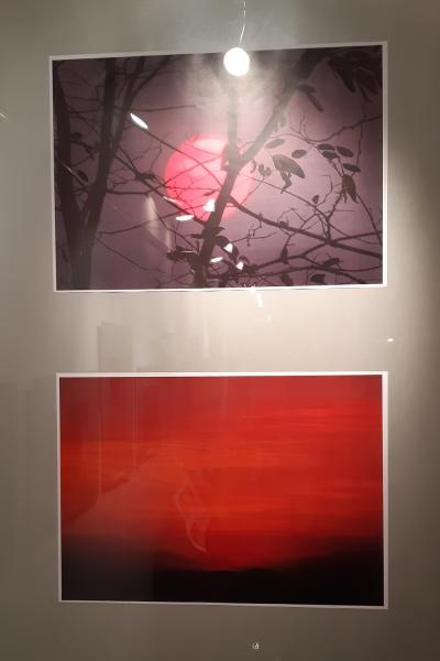 Wernisaż wystawy "Dzieci Tonga"