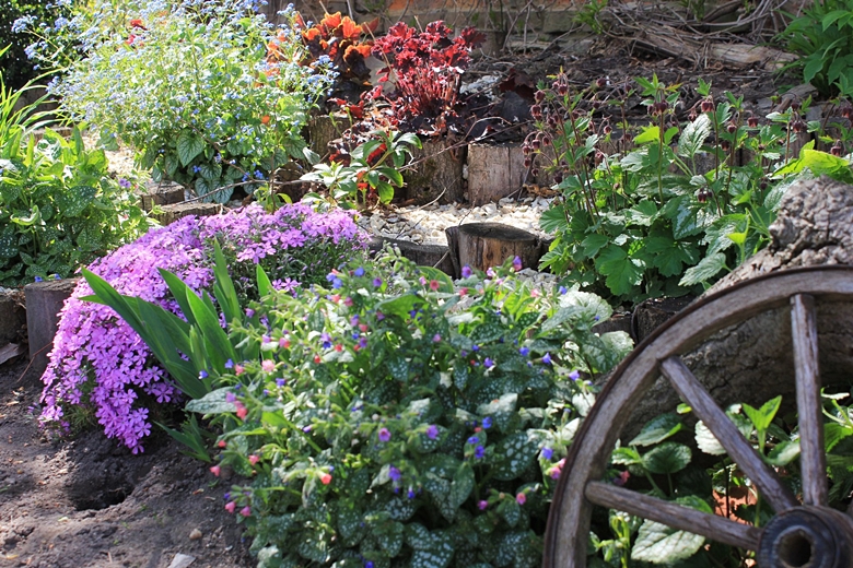 Ogród Kariny i Marka