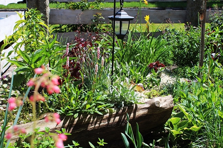 Ogród Kariny i Marka