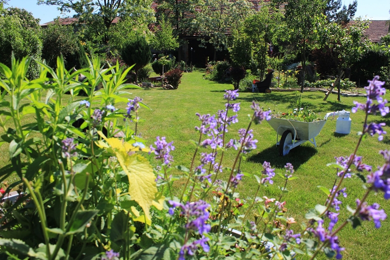 Ogród Kariny i Marka