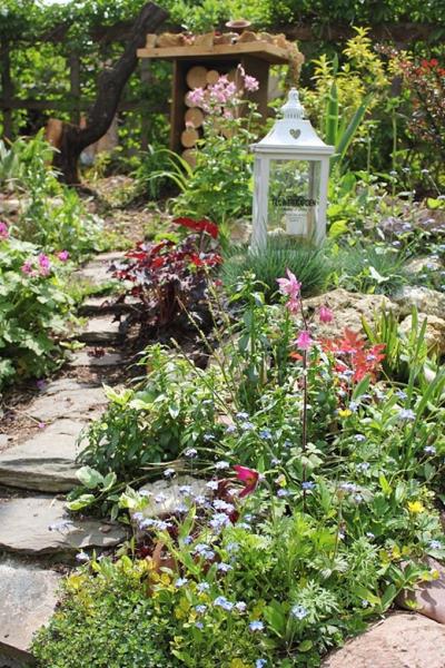 Ogród Kariny i Marka