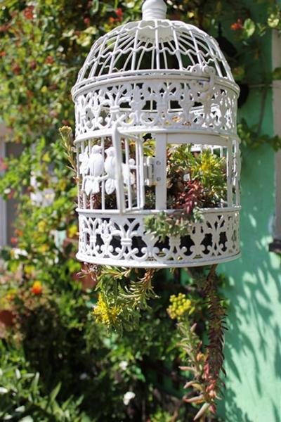 Ogród Kariny i Marka