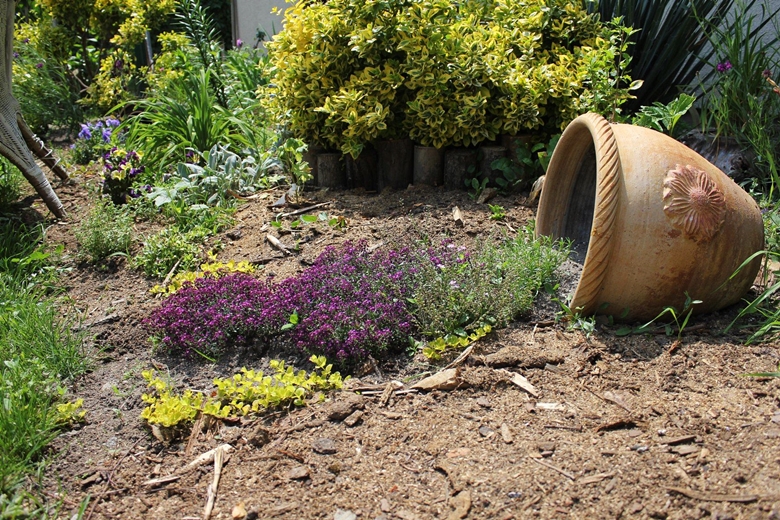 Ogród Kariny i Marka
