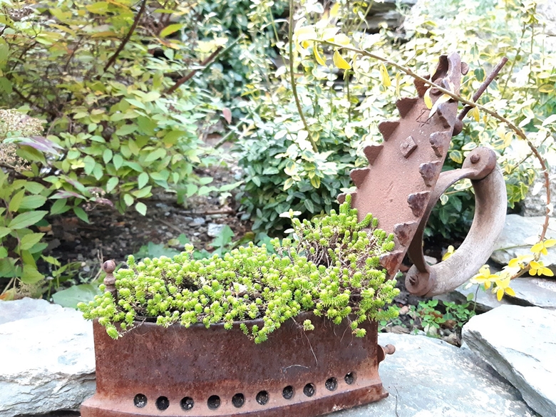 Ogród Kariny i Marka