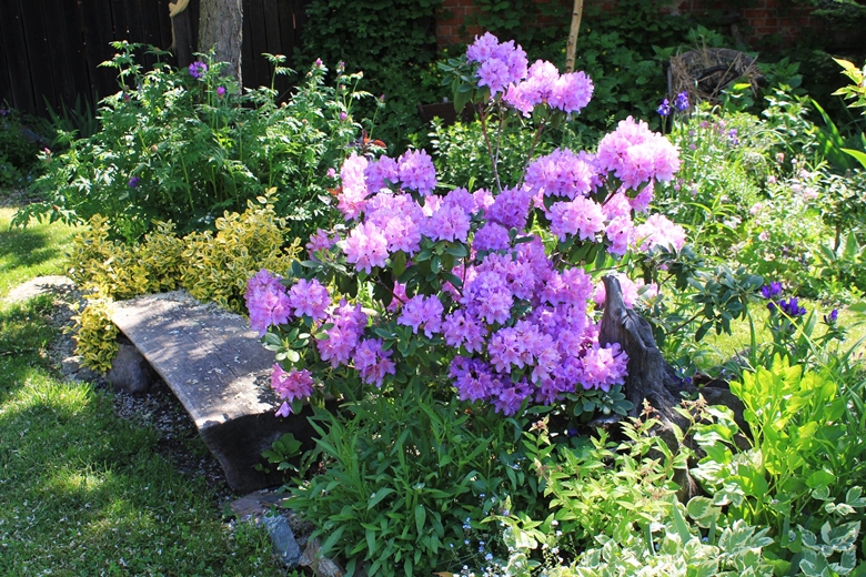 Ogród Kariny i Marka