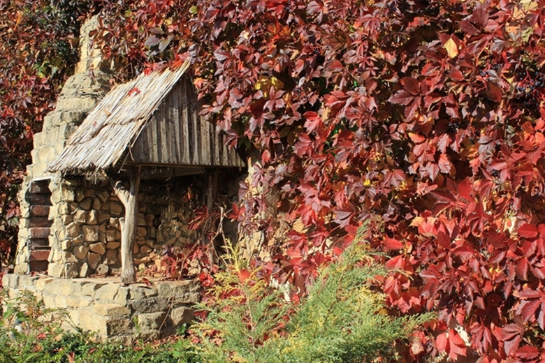 Ogród Kariny i Marka