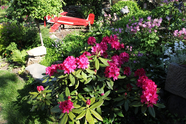 Ogród Kariny i Marka