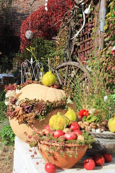 Ogród Kariny i Marka