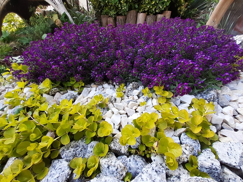 Ogród Kariny i Marka