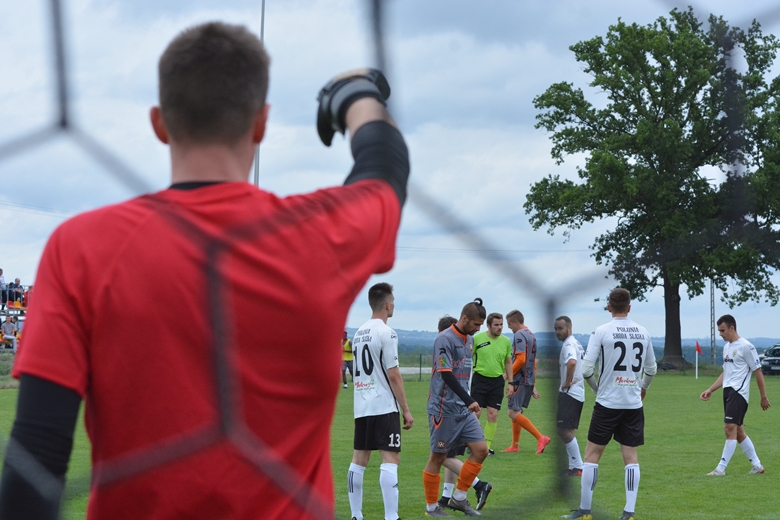 Sparing Polonii z Mechanikiem Brzeziną