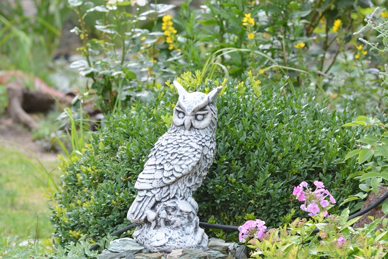 Jarosław 24 - ogród Kariny i Marka Jagieło