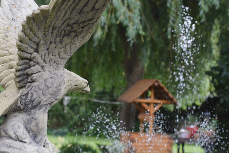 Jarosław 24 - ogród Kariny i Marka Jagieło