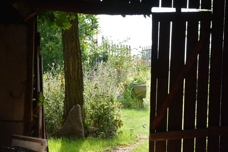 Jarosław 24 - ogród Kariny i Marka Jagieło