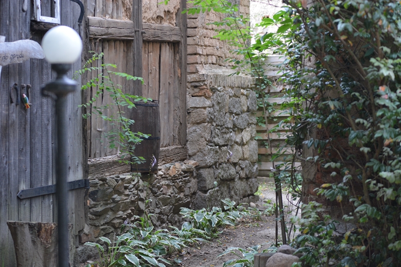 Jarosław 24 - ogród Kariny i Marka Jagieło