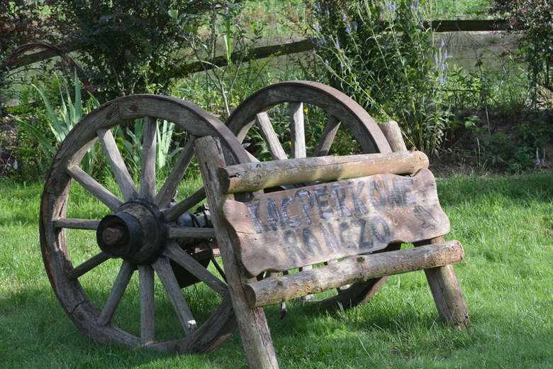 Jarosław 24 - ogród Kariny i Marka Jagieło