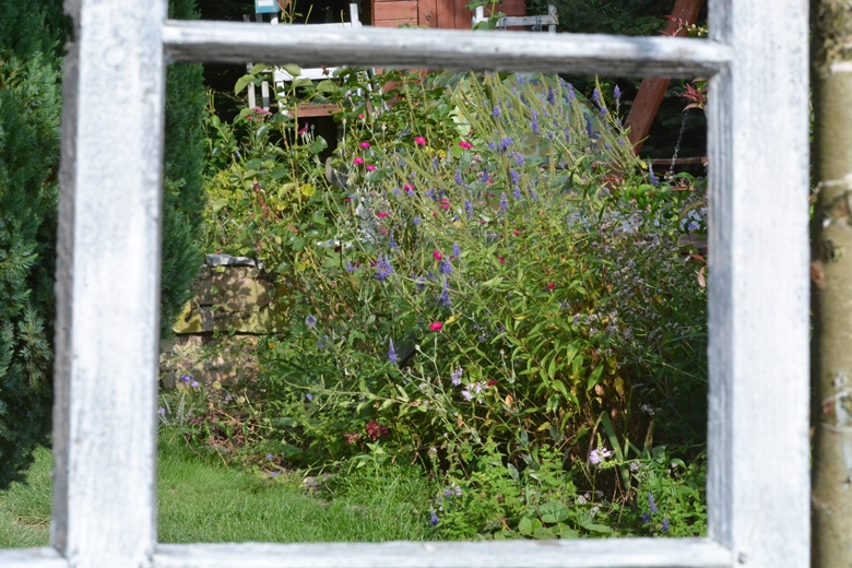 Jarosław 24 - ogród Kariny i Marka Jagieło