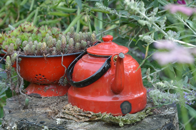 Jarosław 24 - ogród Kariny i Marka Jagieło