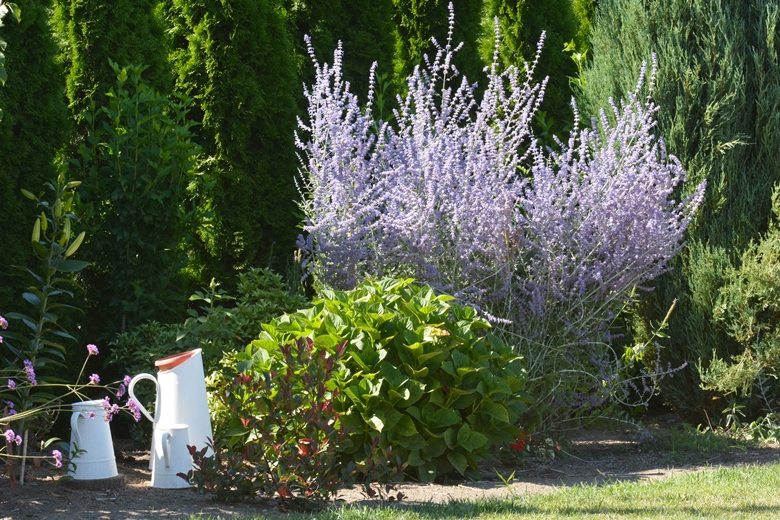 Ogród Państwa Hołowni 