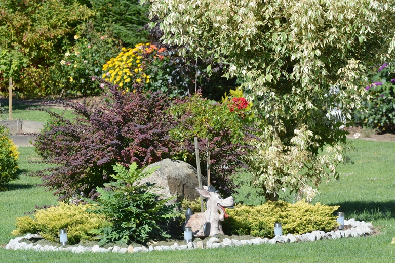 Ogród Państwa Hołowni 