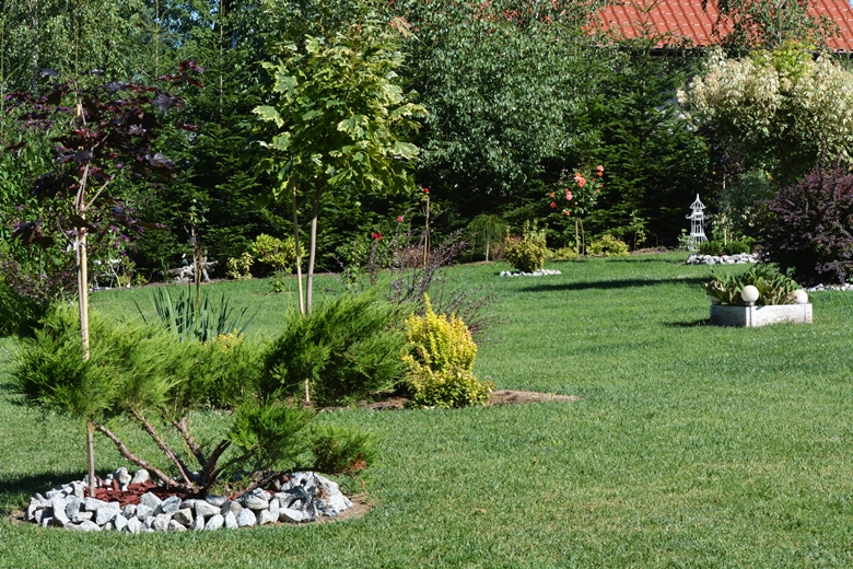 Ogród Państwa Hołowni 