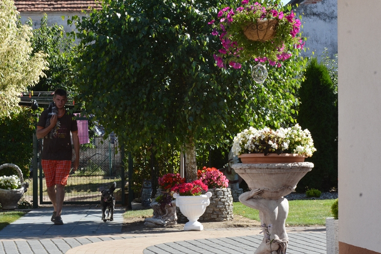 Ogród Państwa Hołowni 