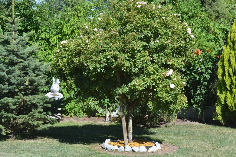 Ogród Państwa Hołowni 