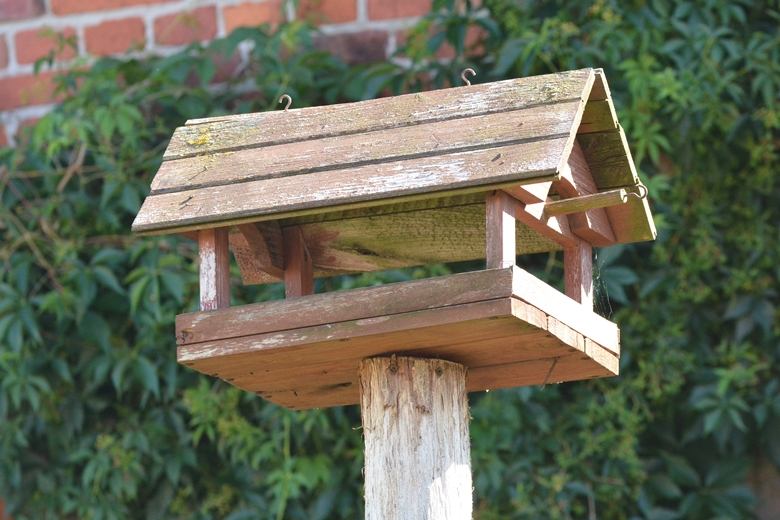 Ogród Państwa Hołowni 