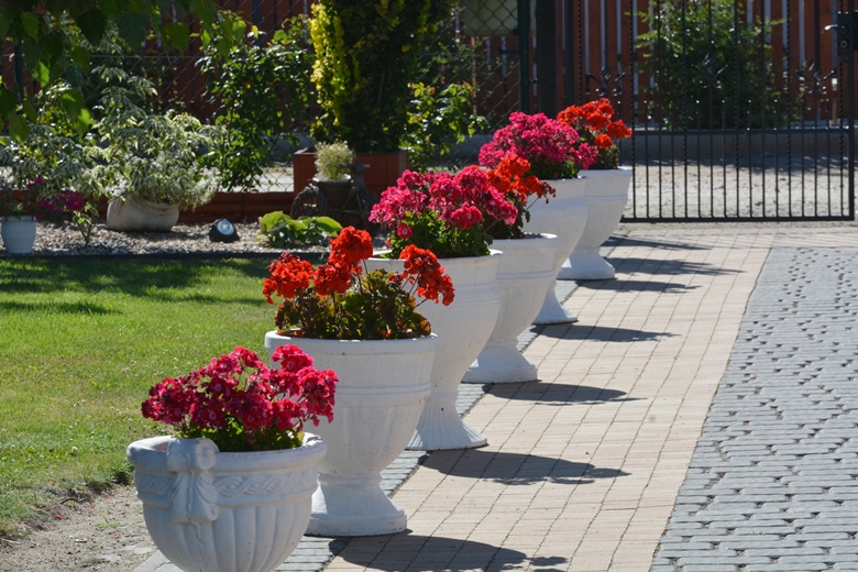 Ogród Państwa Hołowni 