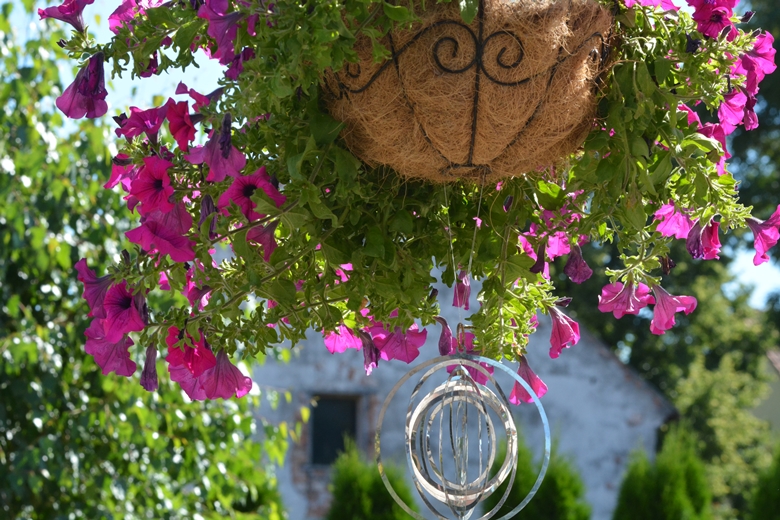 Ogród Państwa Hołowni 