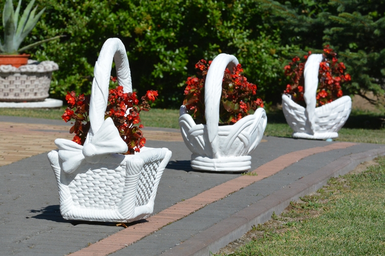 Ogród Państwa Hołowni 