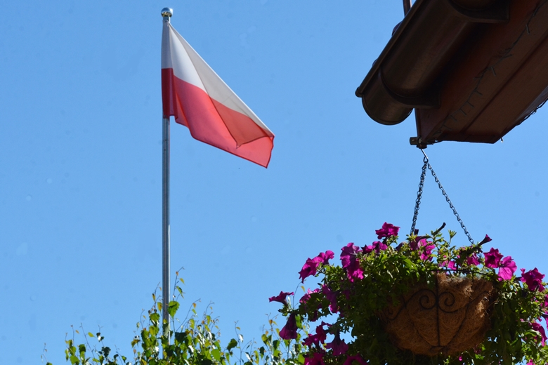 Ogród Państwa Hołowni 